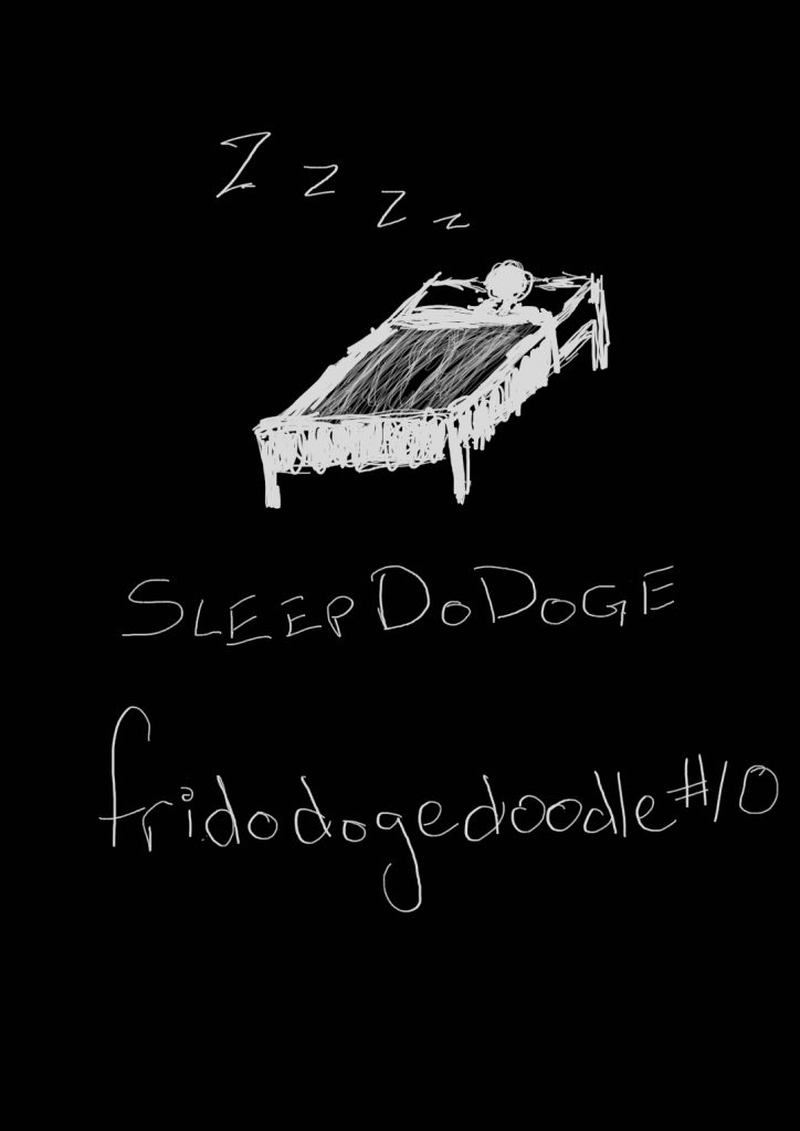 fridodogedoodle #9: SleepDoDoge