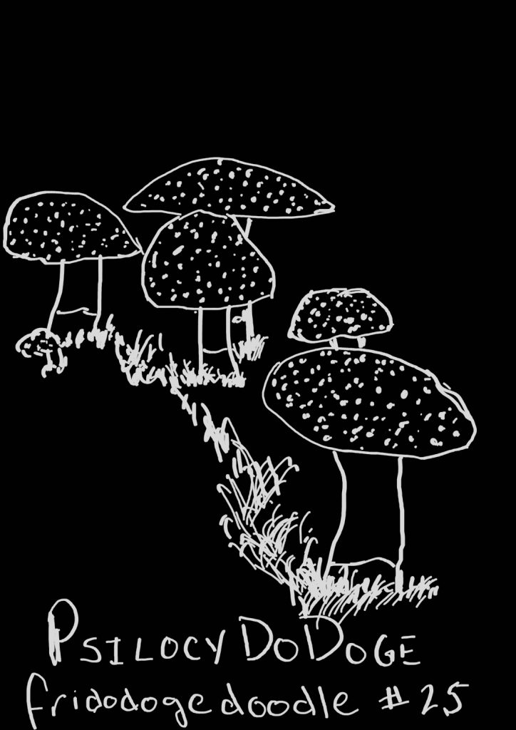 fridodogedoodle #25: PsilocyDoDoge